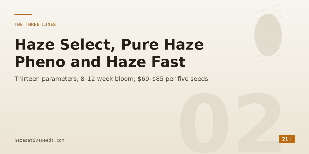 The three lines section cover noting thirteen parameters, an 8 to 12 week bloom and 69 to 85 dollars per five seeds