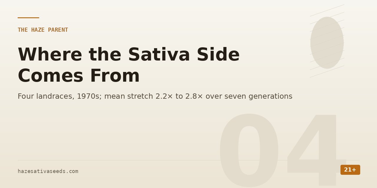 The Haze parent section cover noting four landraces from the 1970s and a mean stretch rising from 2.2 to 2.8 times over seven generations