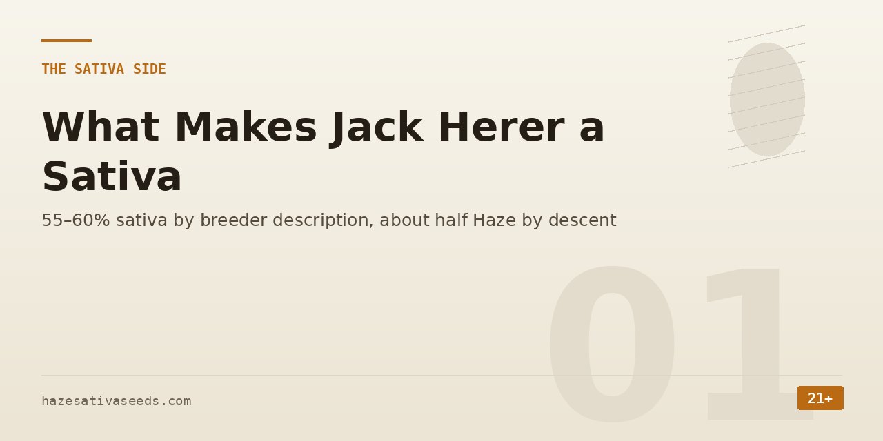 Sativa side section cover noting 55 to 60 percent sativa by breeder description and about half Haze by descent