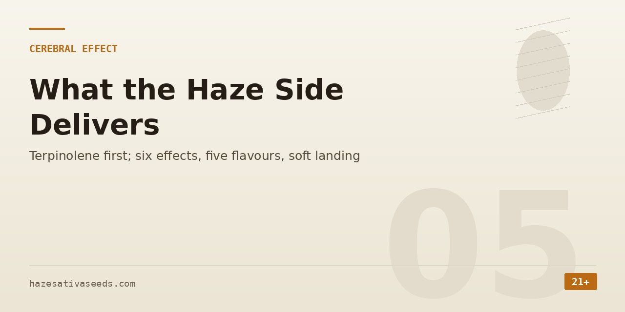 Cerebral effect section cover noting terpinolene first, six effects, five flavours and a soft landing