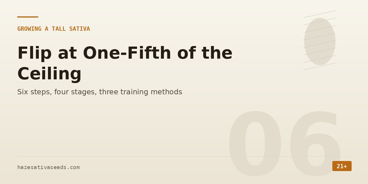 Growing section cover with the rule to flip at one-fifth of the ceiling, six steps, four stages and three training methods