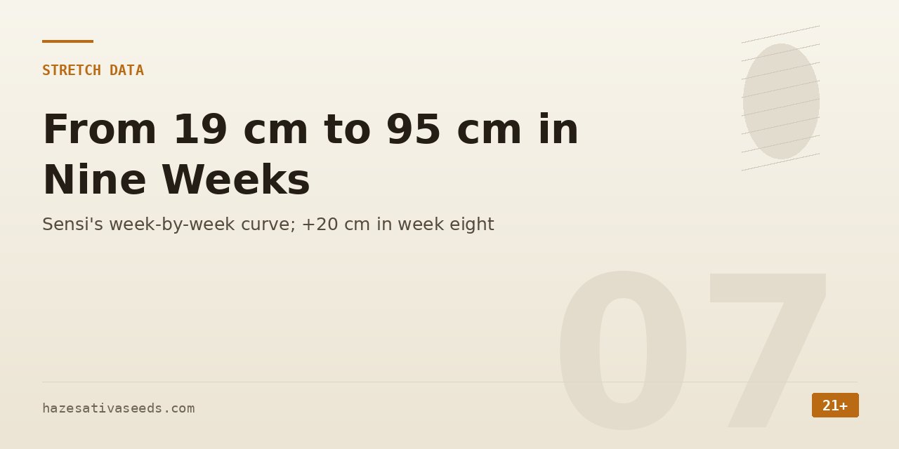 Stretch data section cover noting Sensi's week-by-week height curve from 19 to 95 centimetres with a 20 centimetre gain in week eight