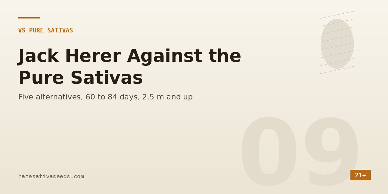 Pure sativas section cover comparing five alternatives flowering 60 to 84 days and reaching 2.5 metres and more