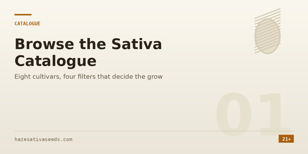 Catalogue section cover listing the four filters that decide a sativa grow: genotype, seed type, flowering time and difficulty