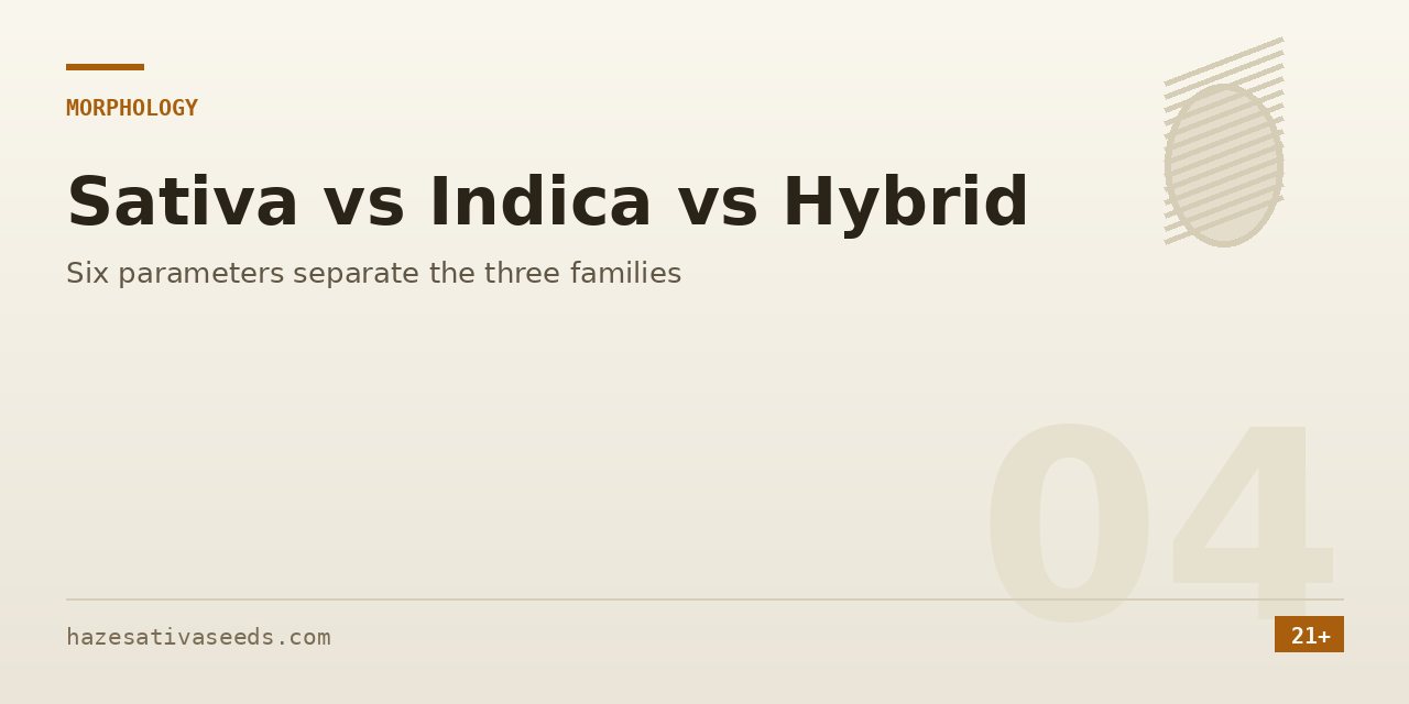 Morphology section cover naming the six parameters that separate sativa, indica and hybrid cannabis families