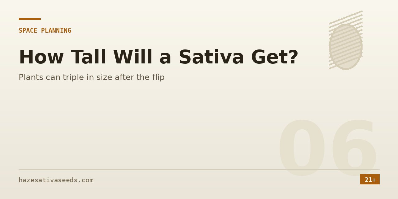 Space planning section cover stating that sativa plants can triple in size after the light cycle changes