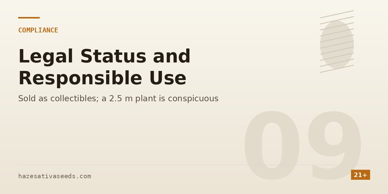 Legal section cover noting that seeds are sold as collectibles and a 2.5 metre outdoor sativa is conspicuous